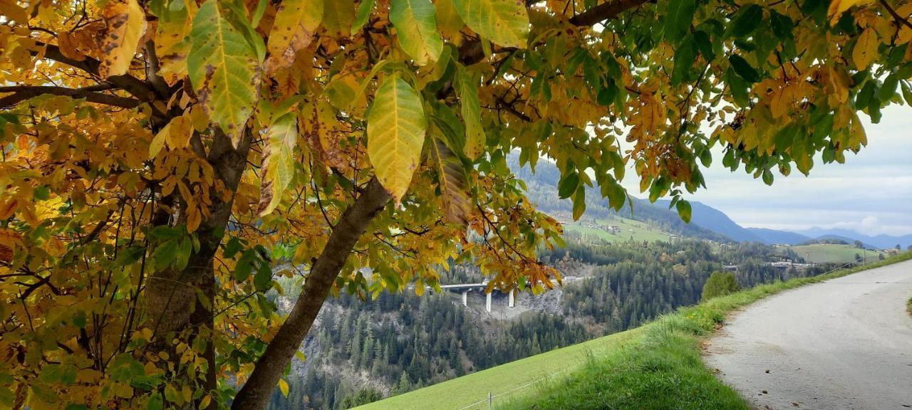 Steinhof Gries
